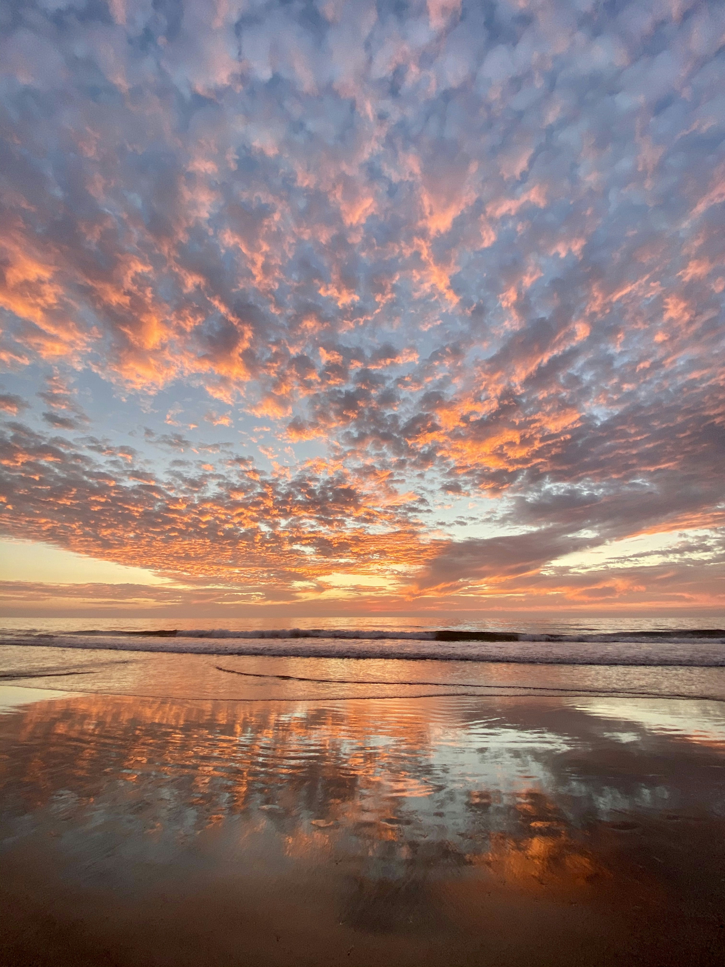 Photo by shellbell21