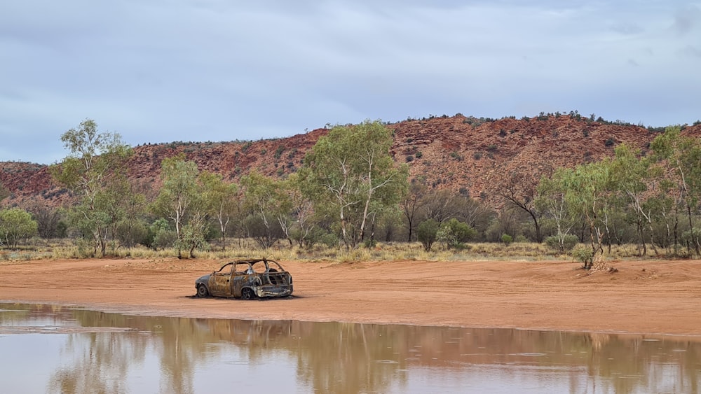 brown and black car on brown field near body of water during daytime