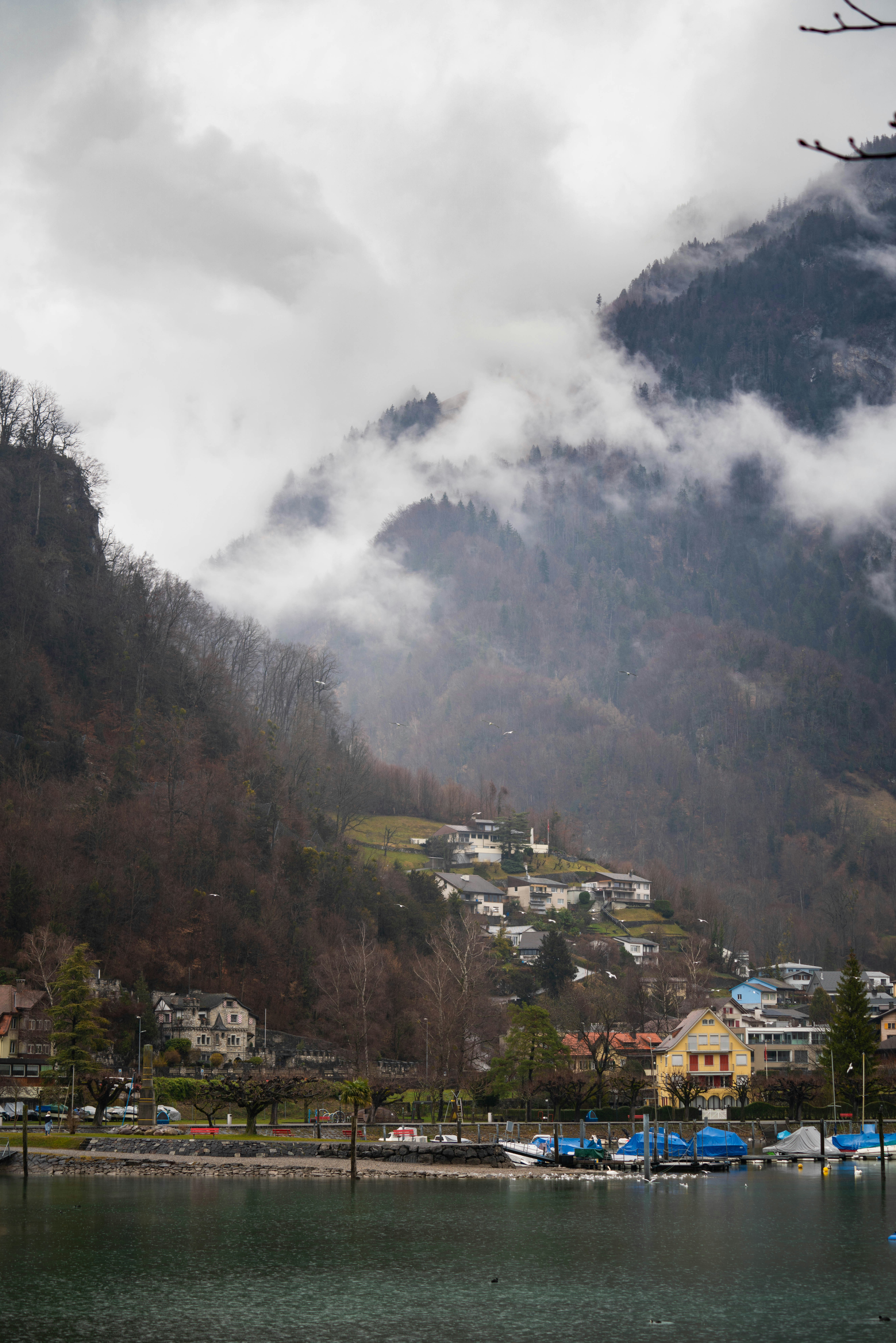 Photo by opohmelka