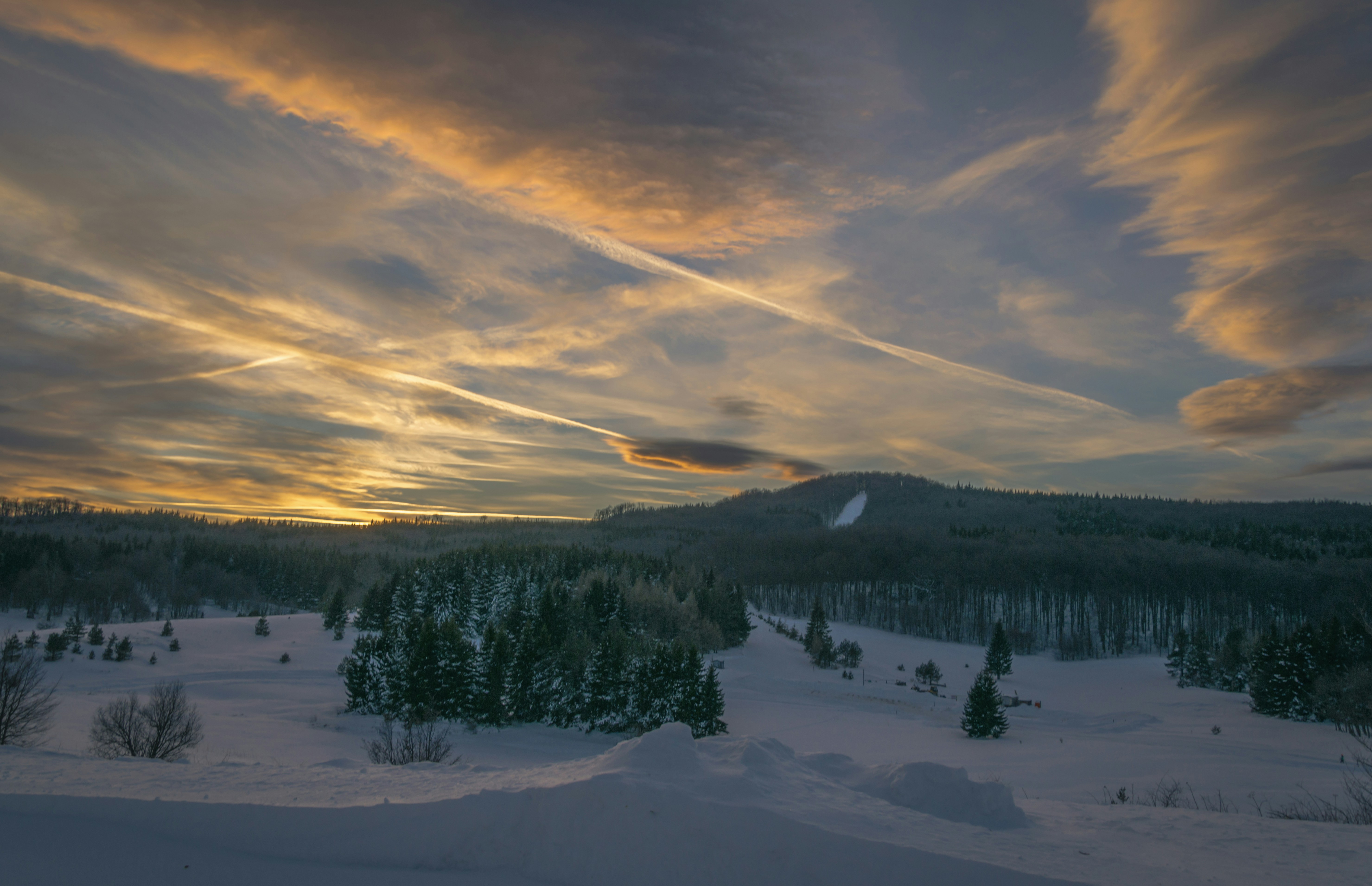 Photo by presentsquare