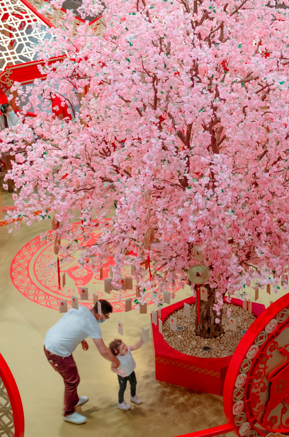 people sitting on red chair under pink cherry blossom tree