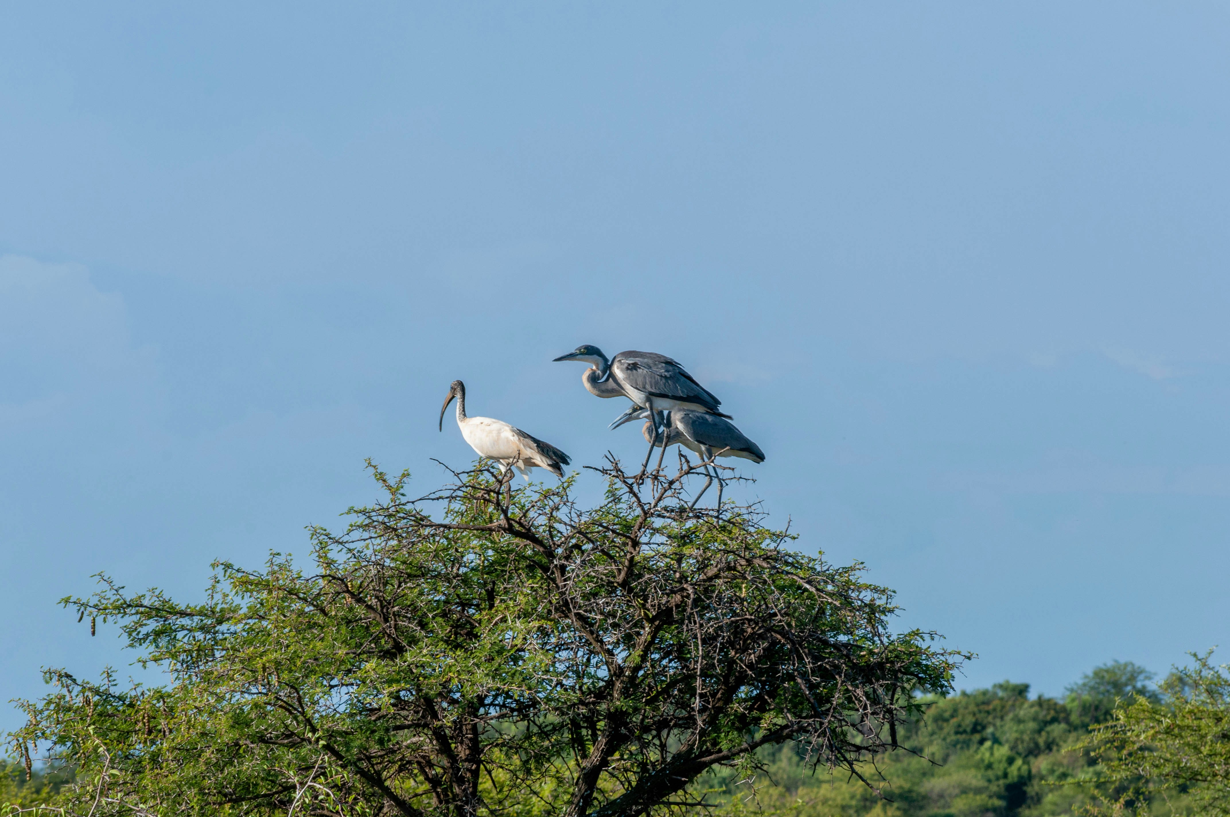 Photo by stewardesign