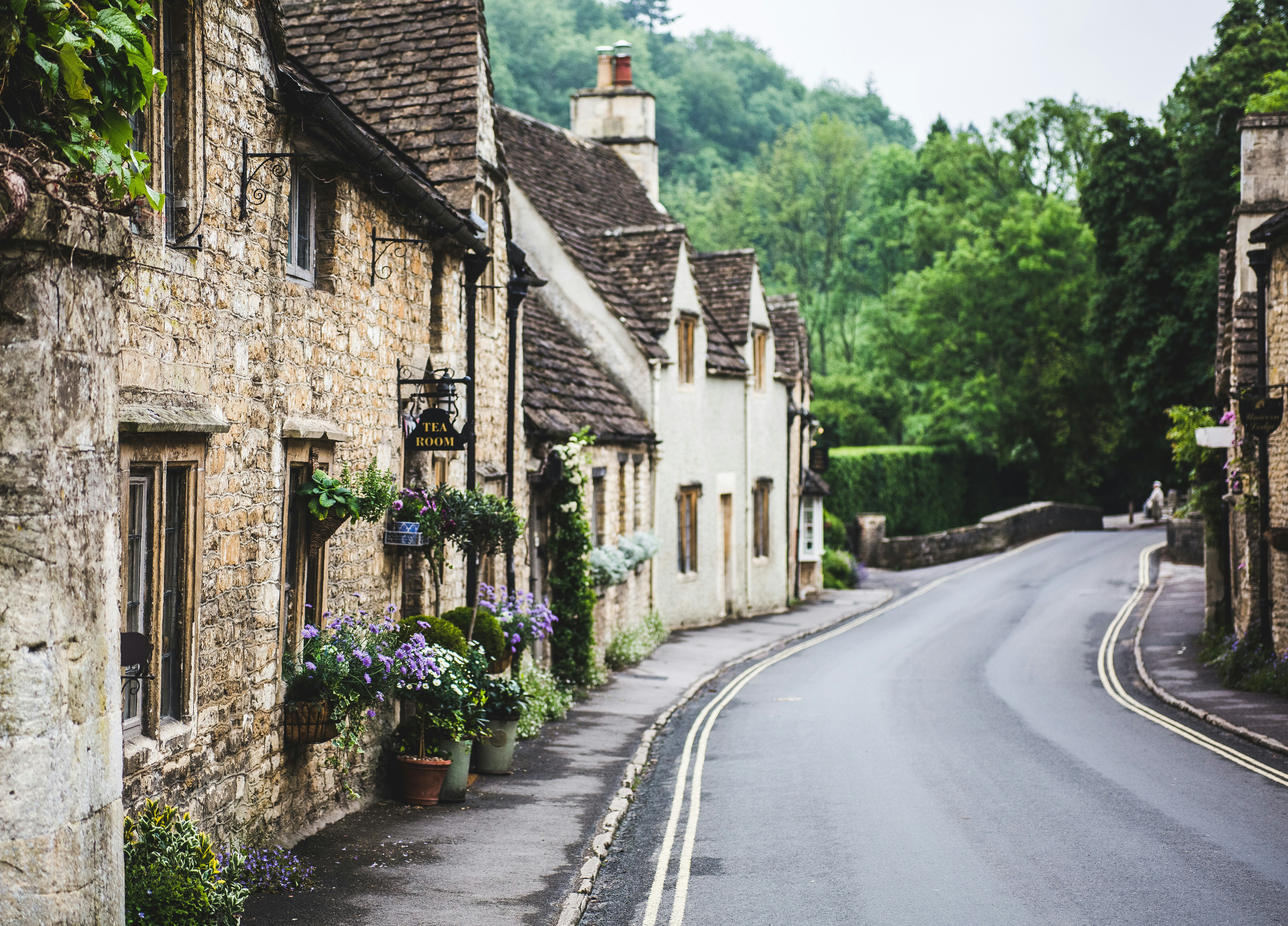 gray concrete road between green trees and brown concrete building during daytime