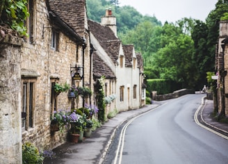 gray concrete road between green trees and brown concrete building during daytime