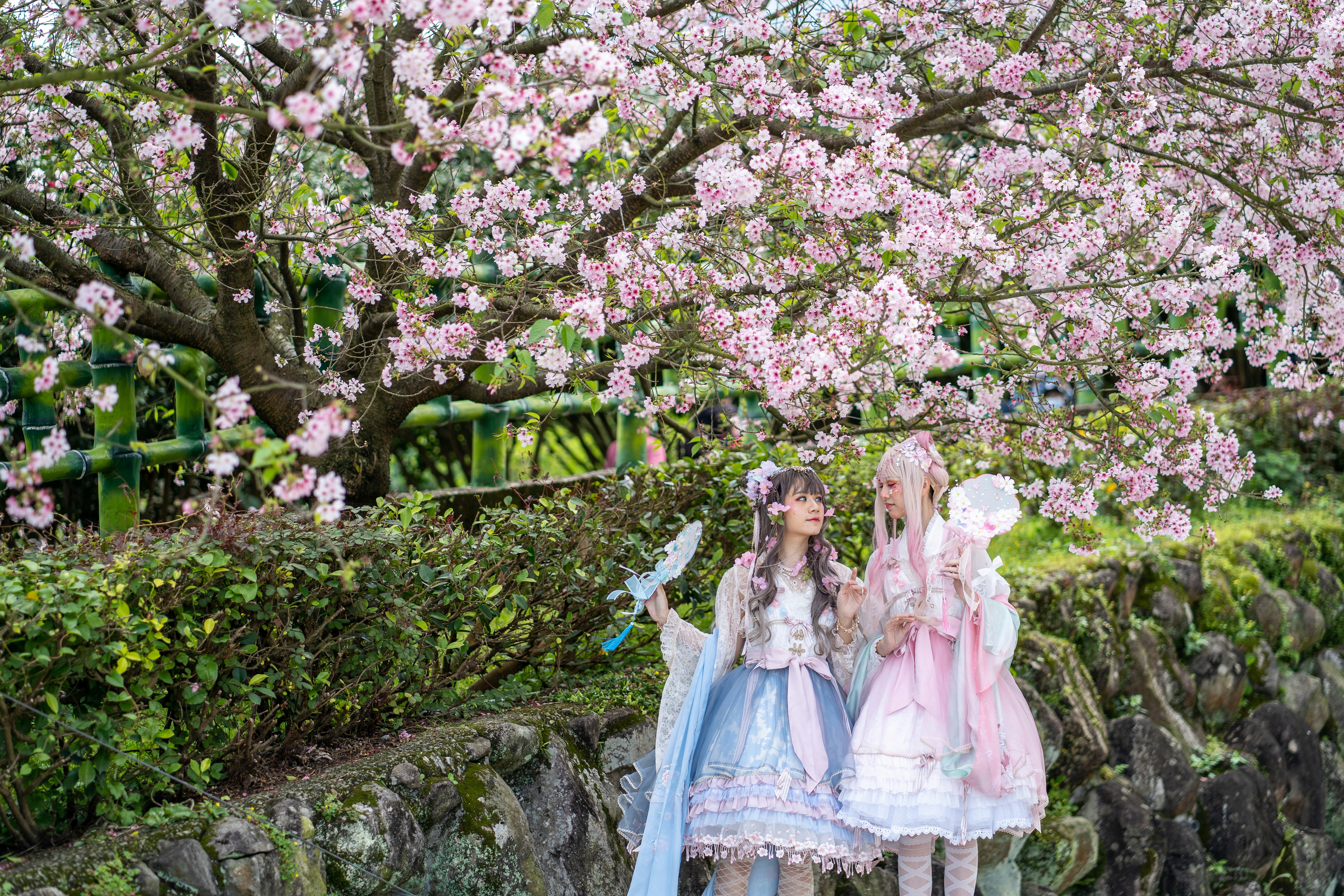 Photo by winstonchen