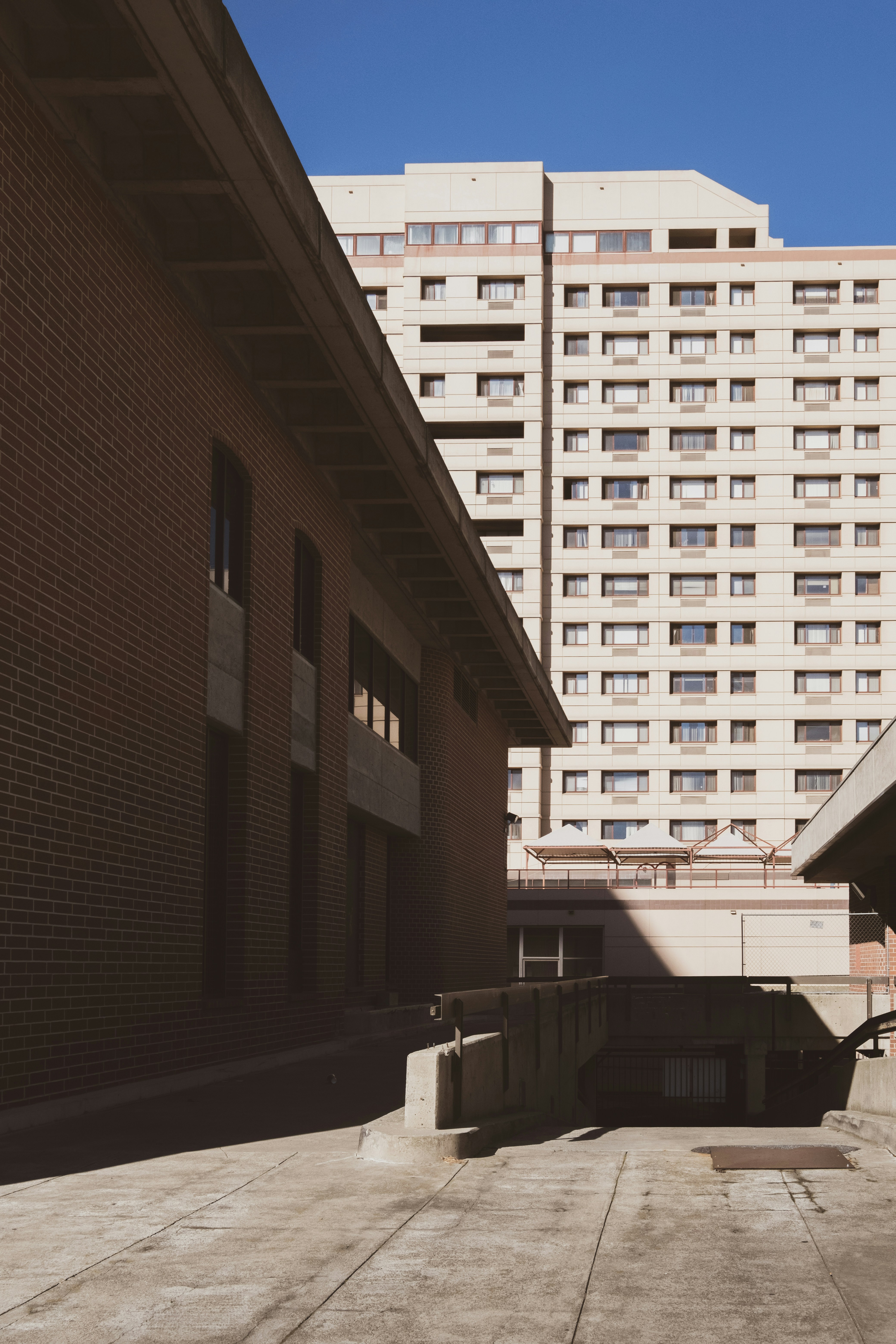 Photo by parsoakhorsand