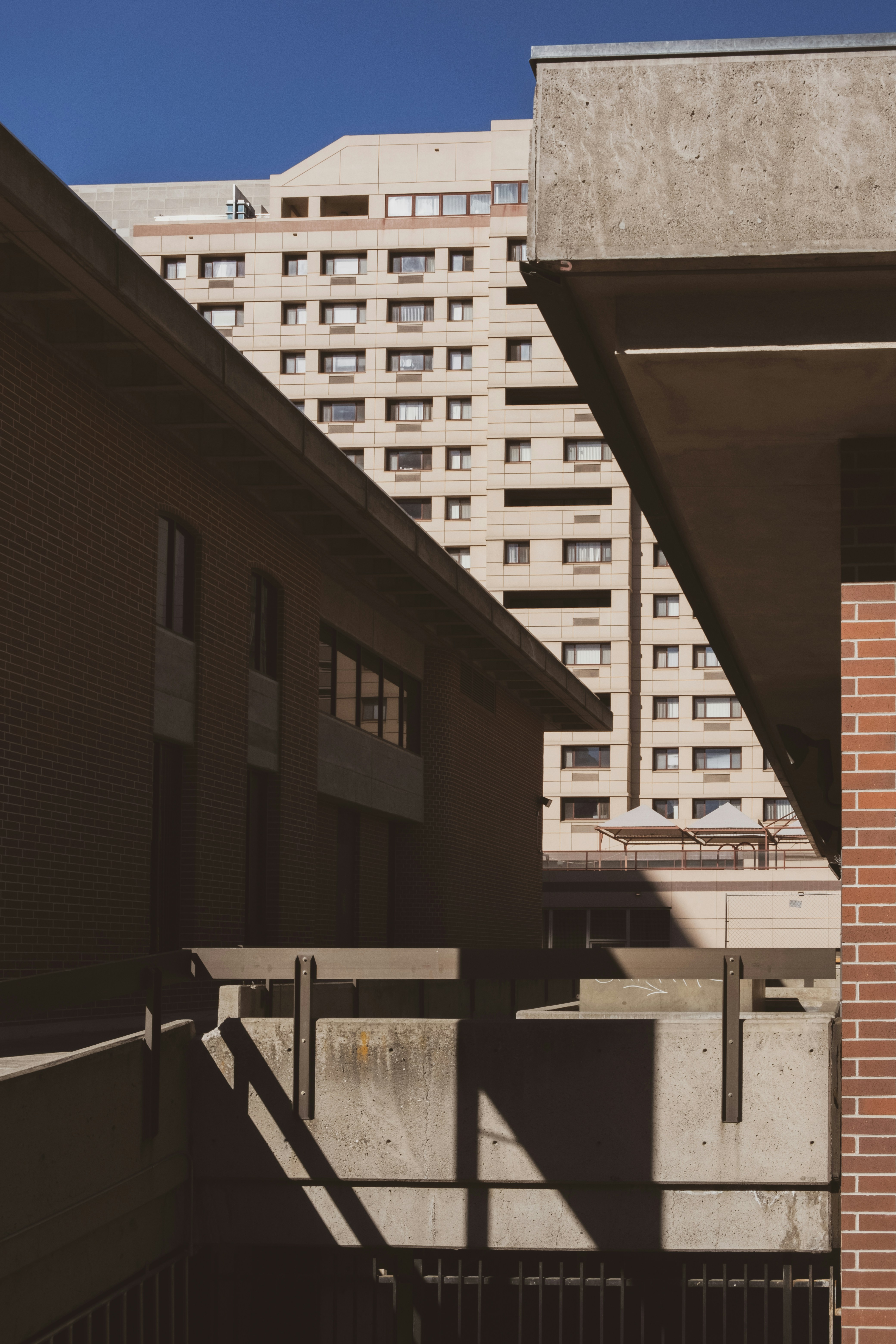 Photo by parsoakhorsand