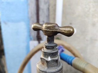 A close-up of a polished brass outdoor faucet set against garden greenery.