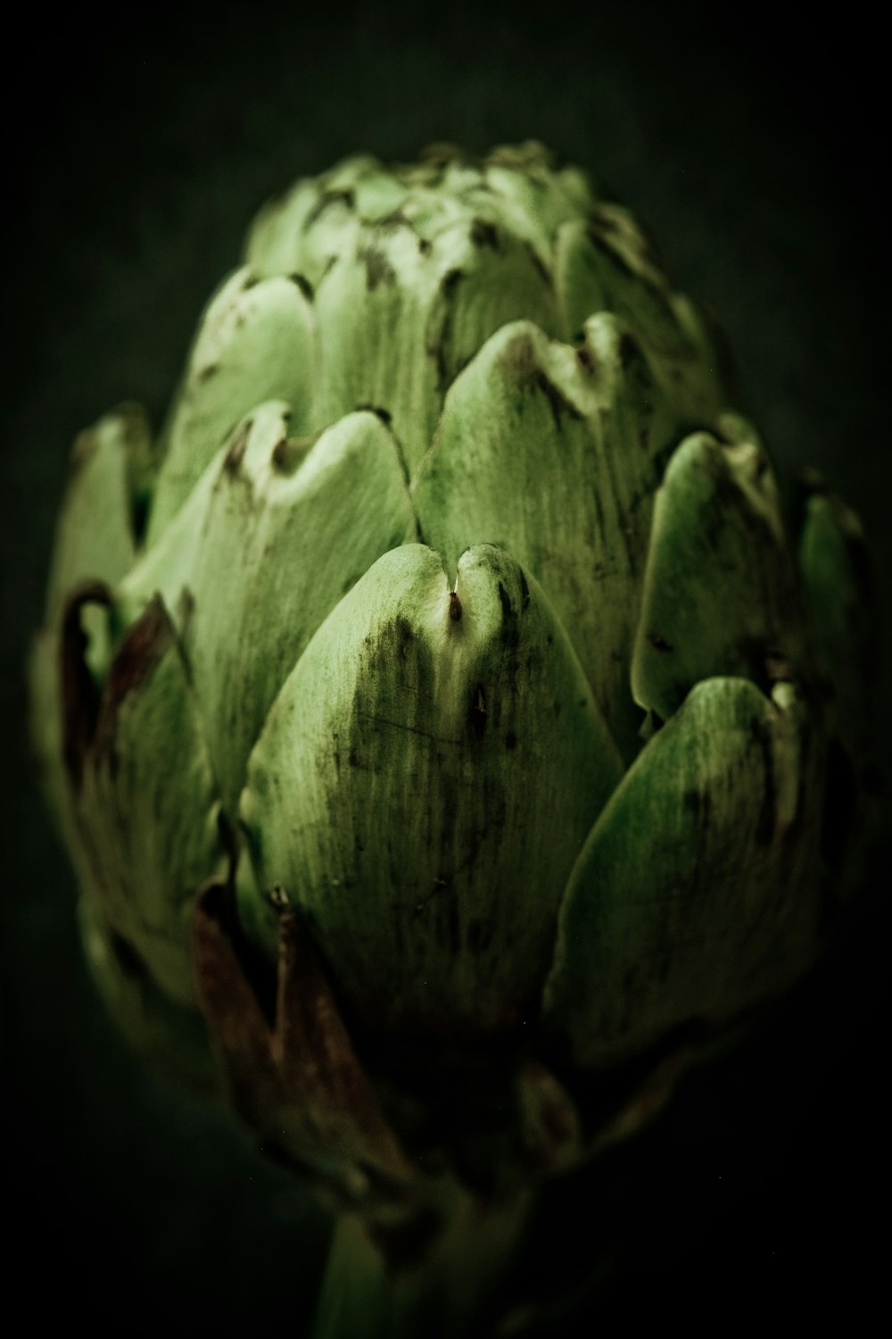 green flower bud in close up photography