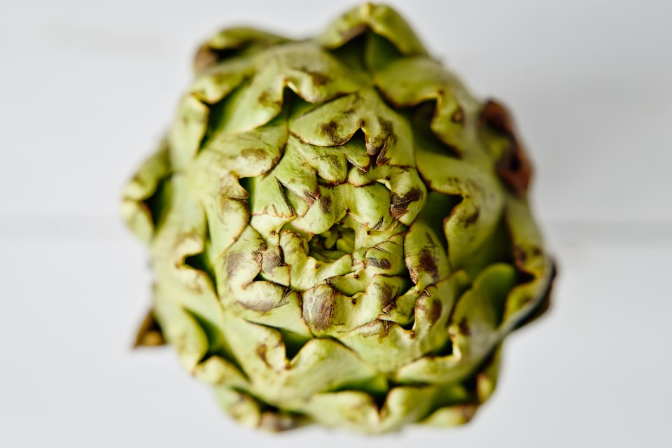 II: Artichoke