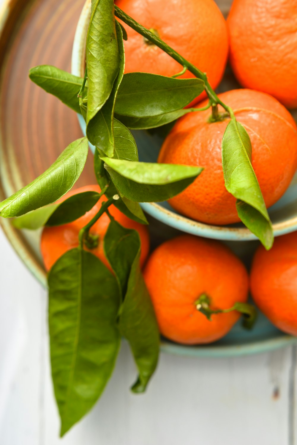 Fruta naranja en cuenco de cerámica blanca