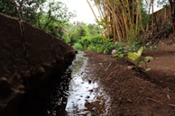 A narrow irrigation canal runs alongside a dirt pathway, with lush green plants and bamboo stalks growing nearby. Bright flowers add color to the earthy landscape, and the reflection in the calm water enhances the natural scenery.