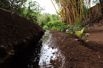 A narrow irrigation canal runs alongside a dirt pathway, with lush green plants and bamboo stalks growing nearby. Bright flowers add color to the earthy landscape, and the reflection in the calm water enhances the natural scenery.
