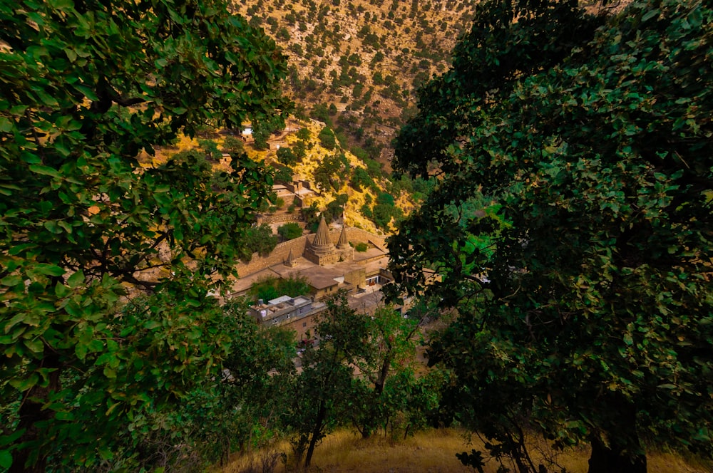 green trees near brown mountain during daytime