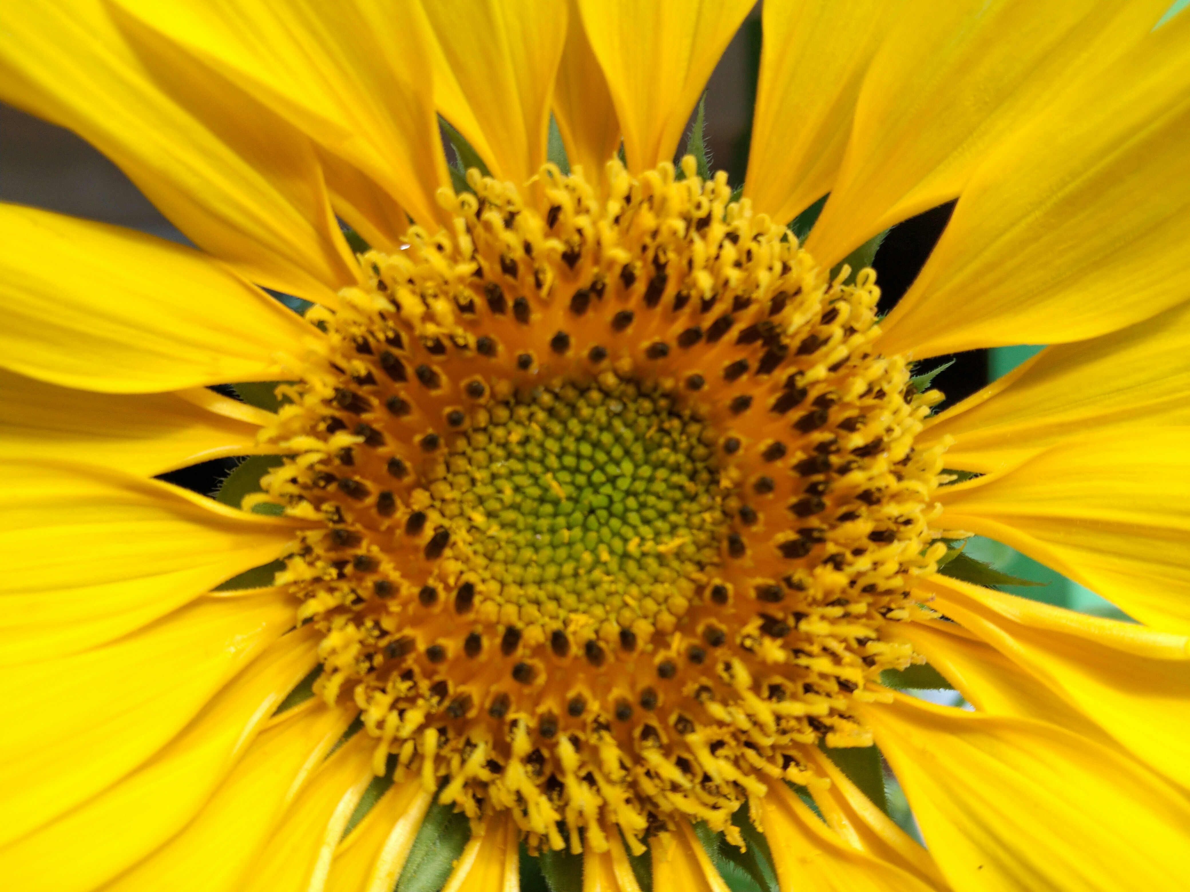 Photo by katrimaningsih