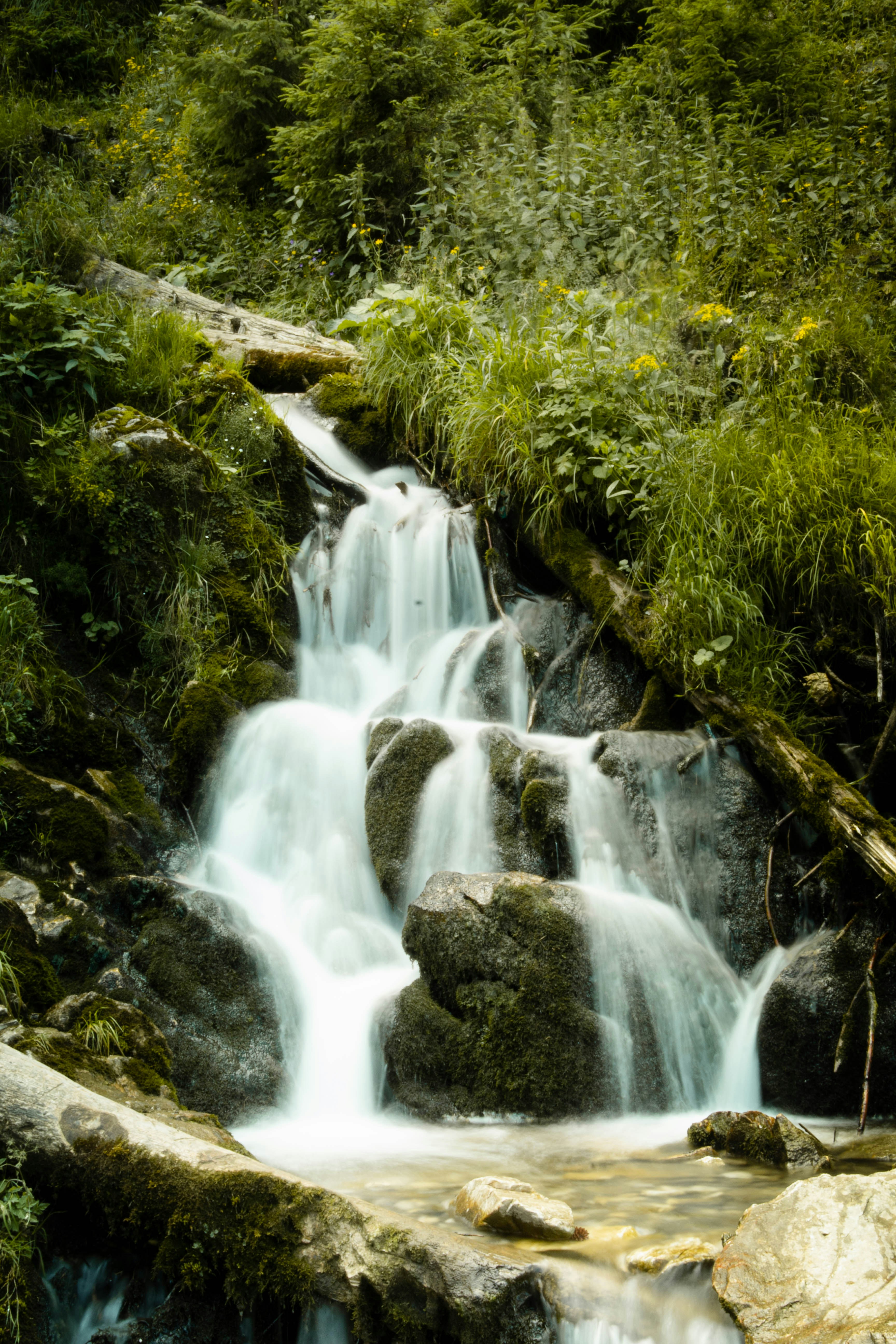 Photo by cristian_vieriu