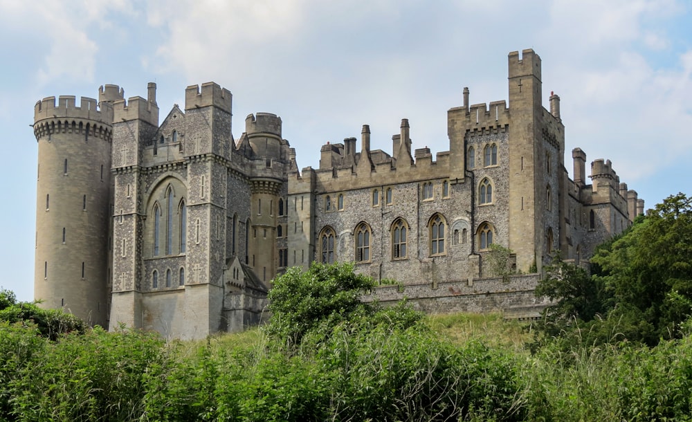 brown concrete castle surrounded by green trees during daytime