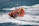 An orange inflatable rescue boat speeds through choppy waves, leaving behind a trail of foamy water. Several people wearing yellow life jackets and helmets are on board, indicating a focus on safety. The boat is equipped with twin outboard motors and has various equipment mounted on it.