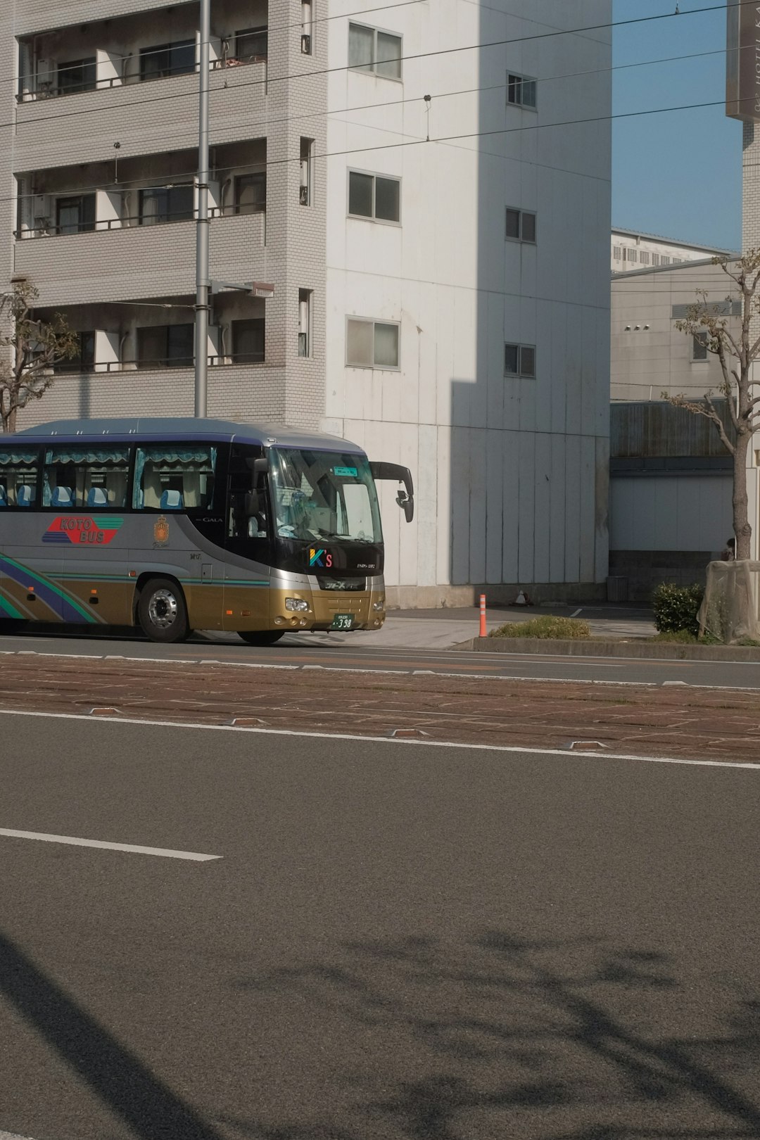 green and yellow bus on road during daytime