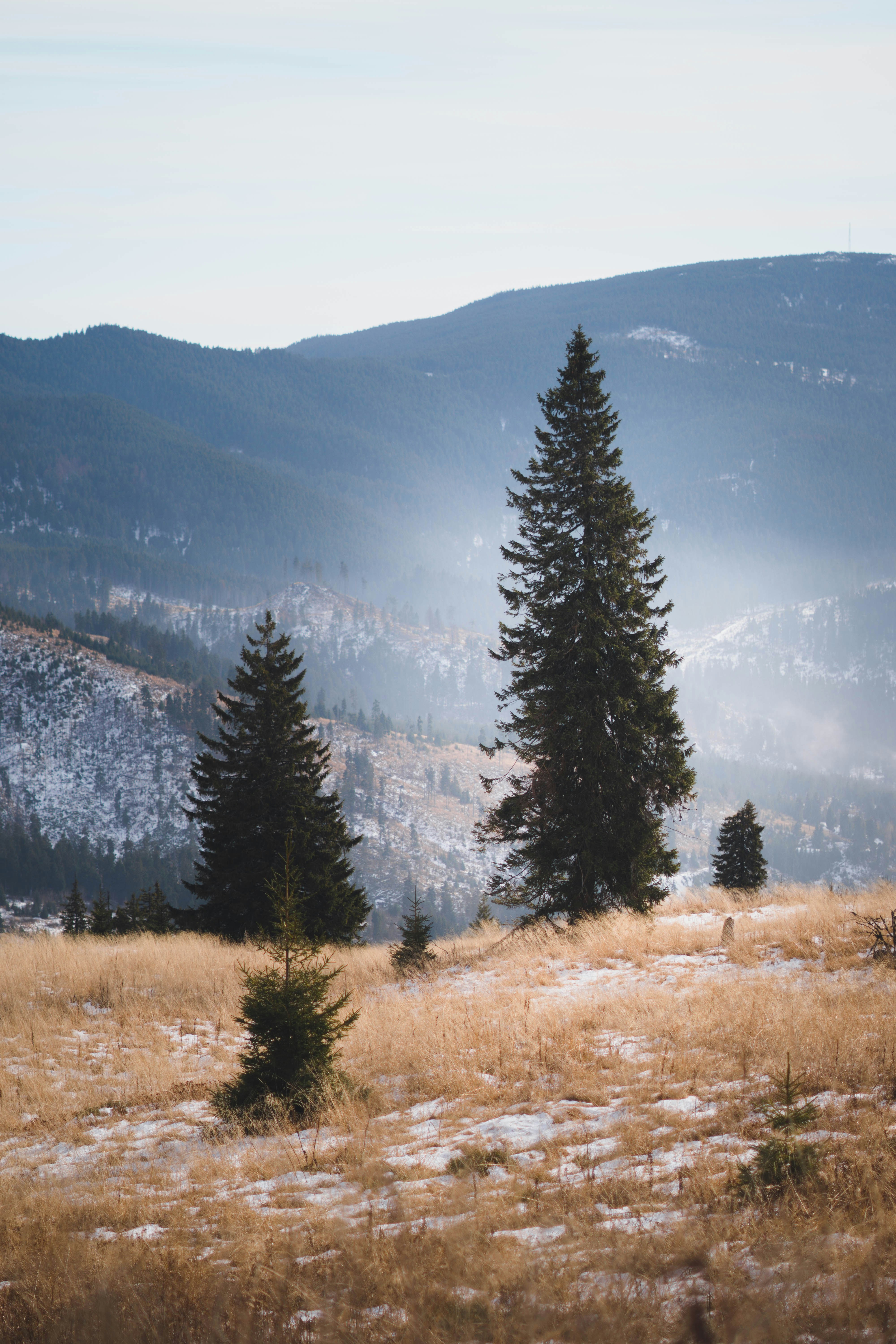 Photo by cristian_vieriu