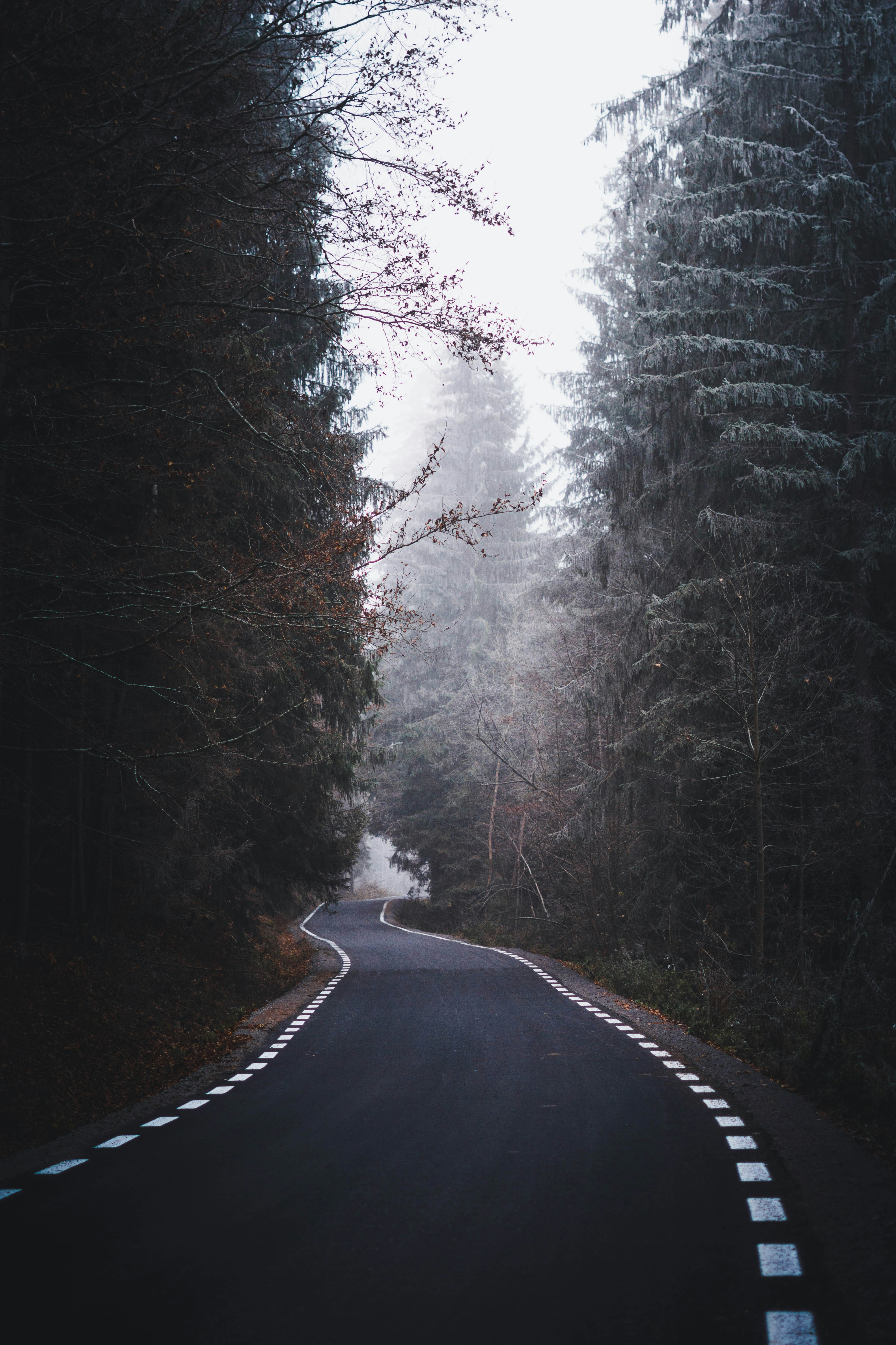 Photo by cristian_vieriu