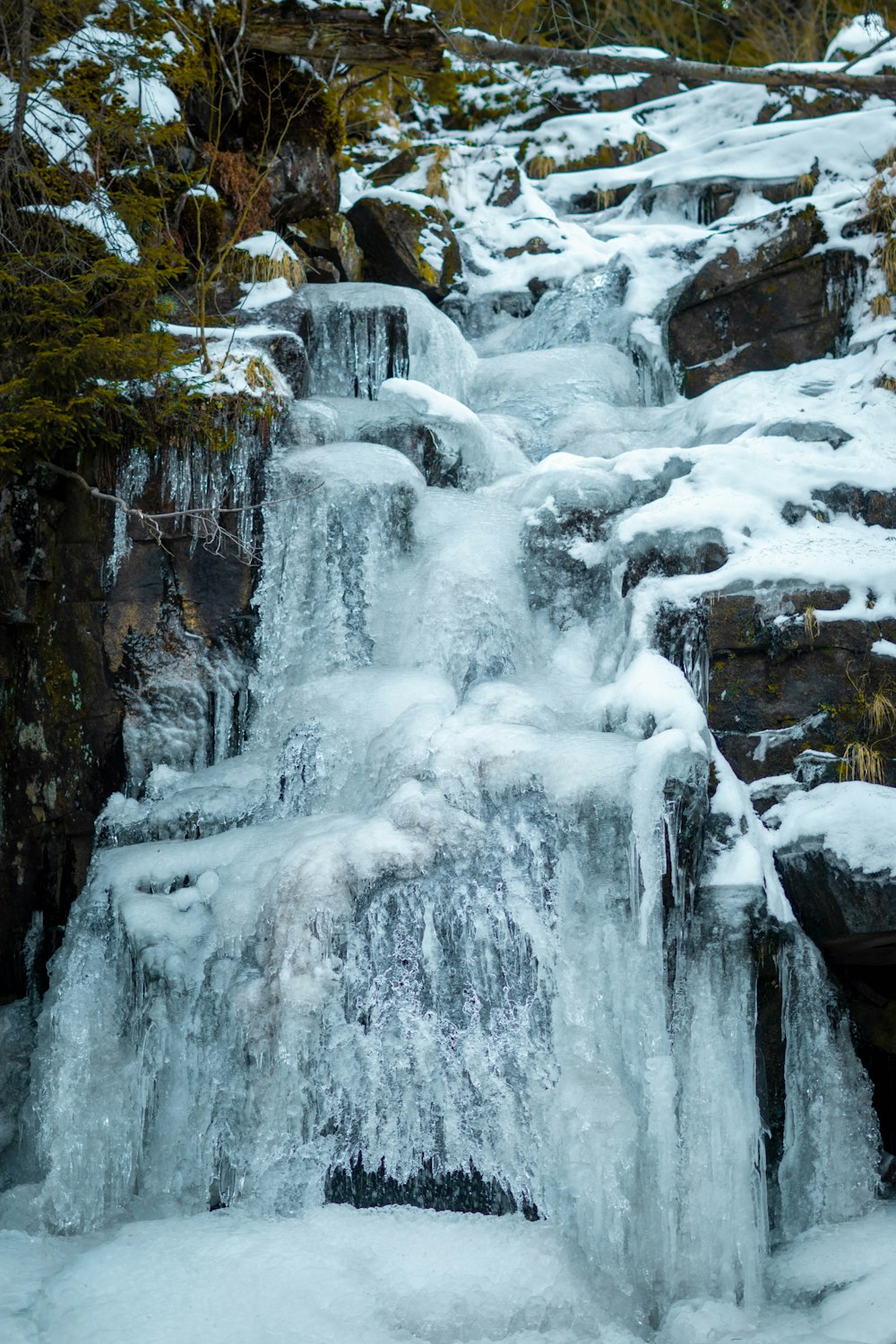 rocas y árboles cubiertos de nieve