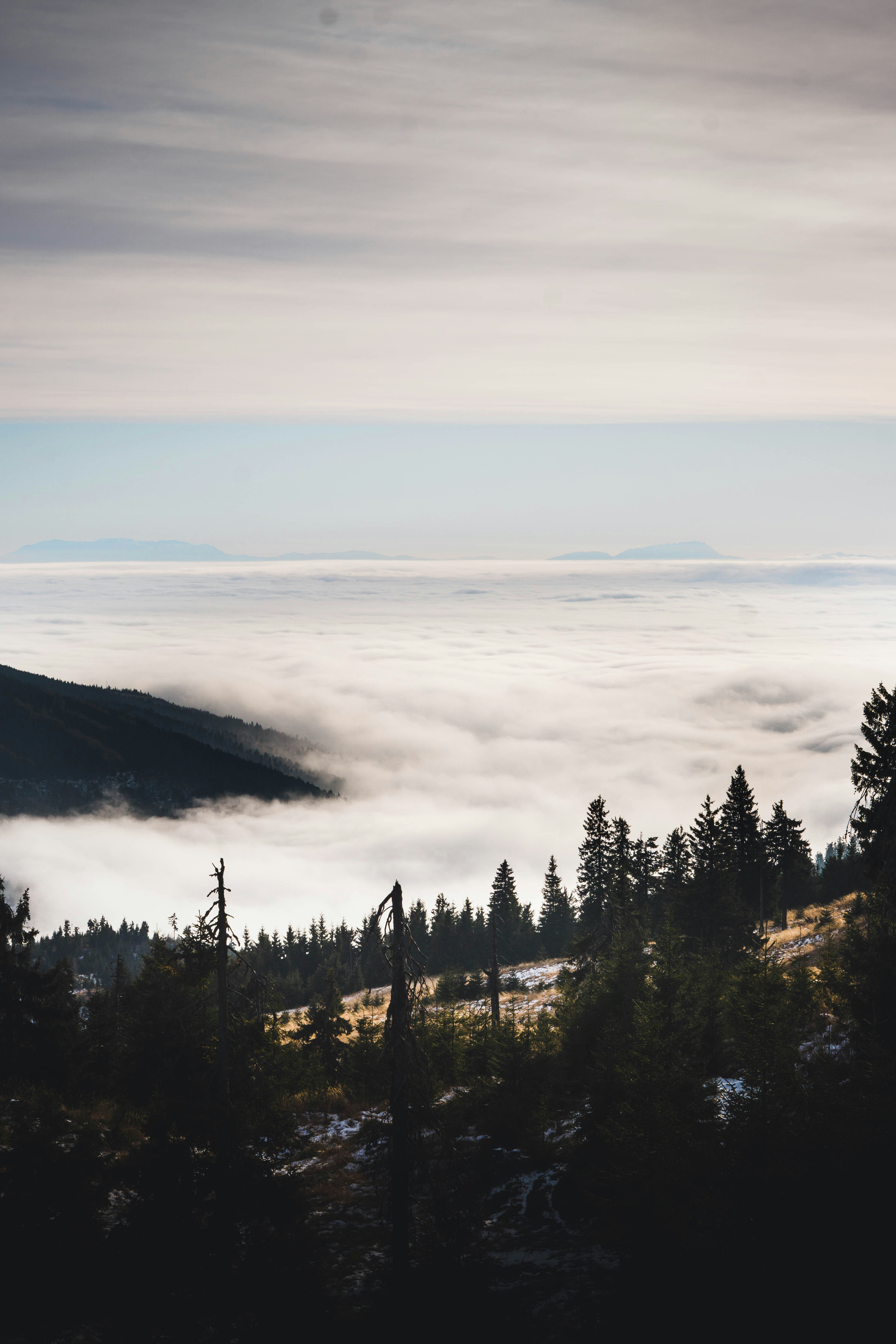 Photo by cristian_vieriu