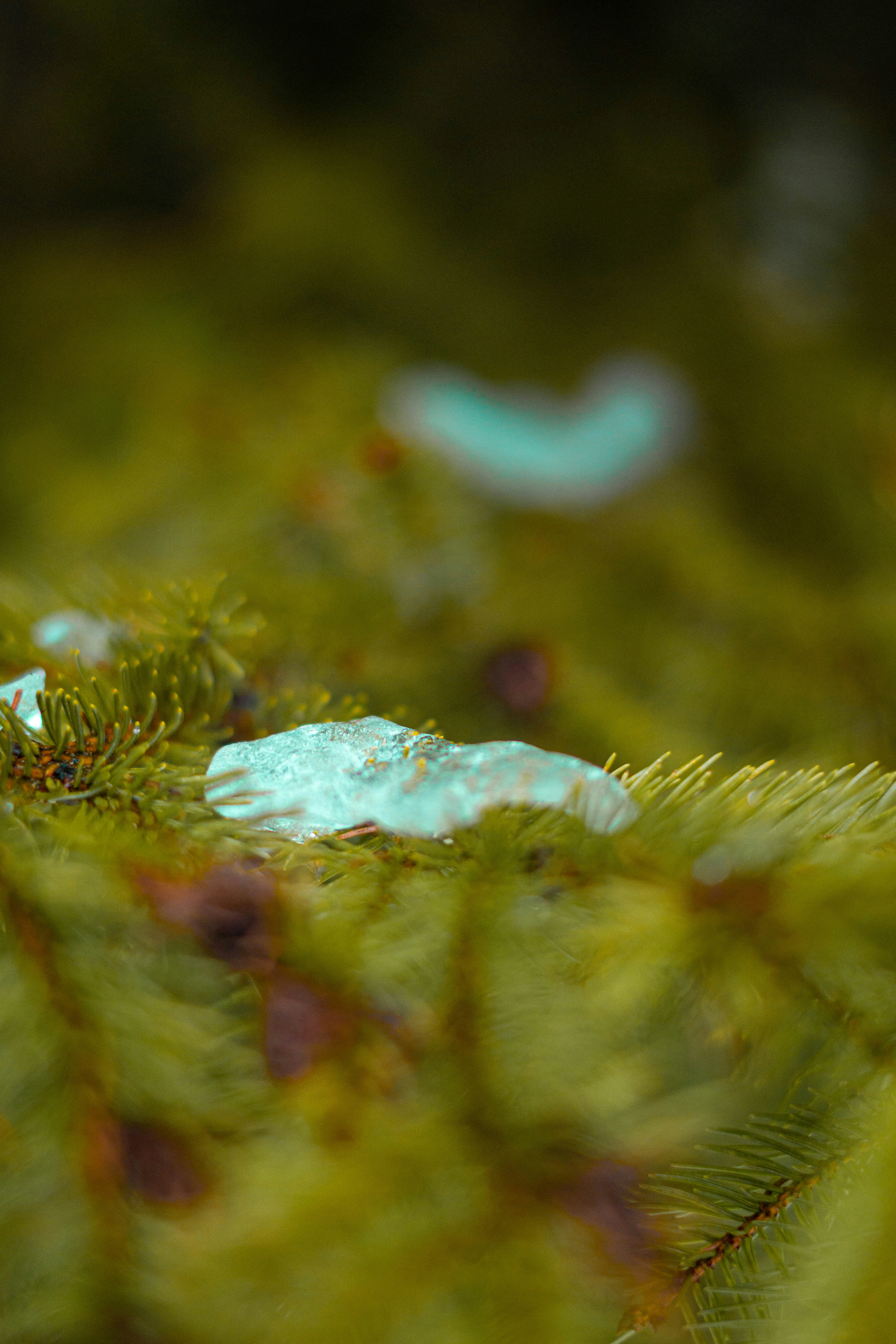 Photo by cristian_vieriu