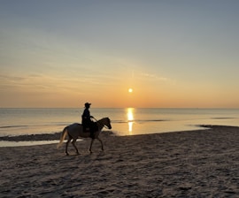 A rider on horseback galloping along the golden sands of Playa Pitahaya at sunset.