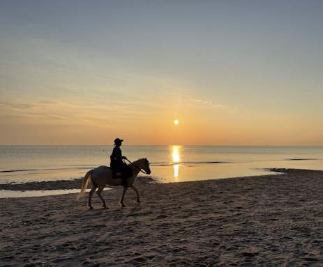 A horseback rider trotting along a sandy beach at sunset.