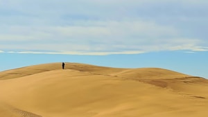 Desert Trails