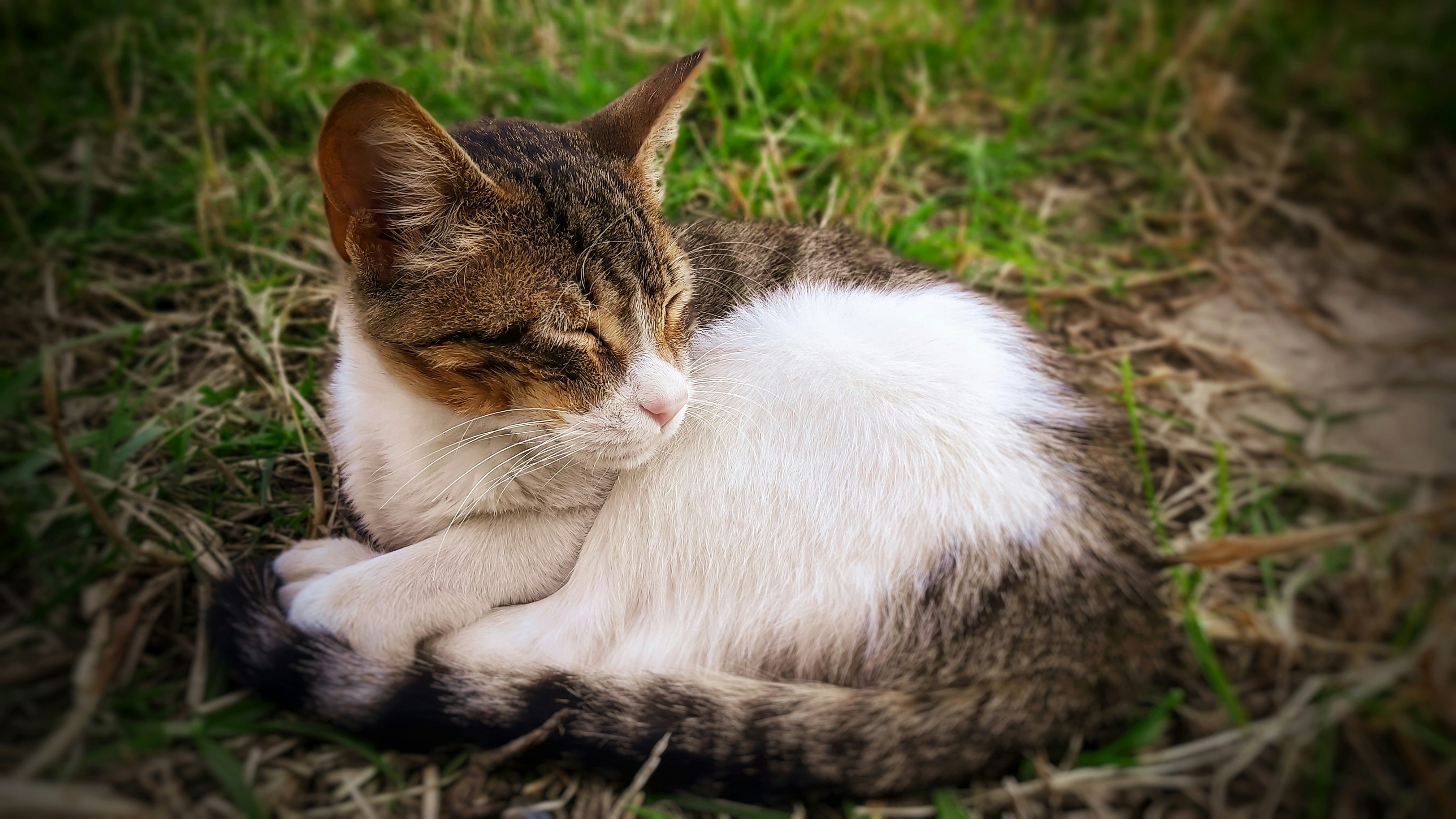 Photo by nadirberrabah