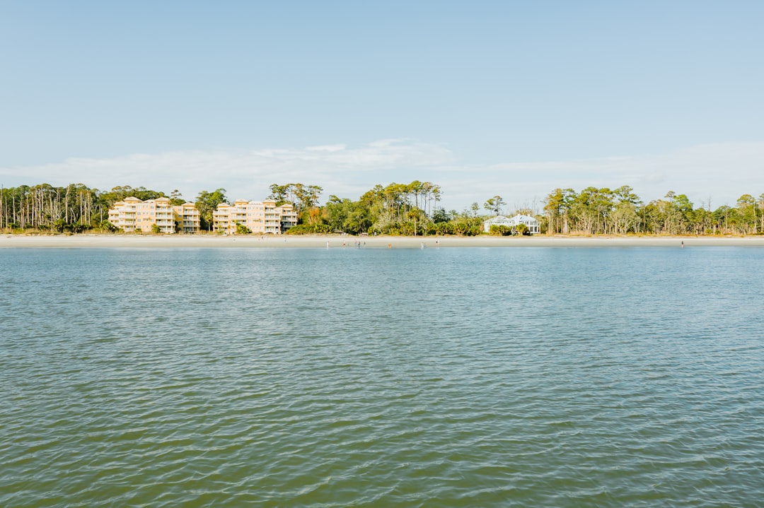 green trees near body of water during daytime