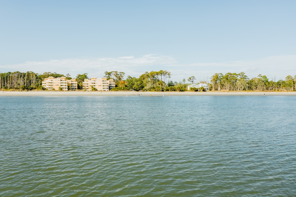 green trees near body of water during daytime