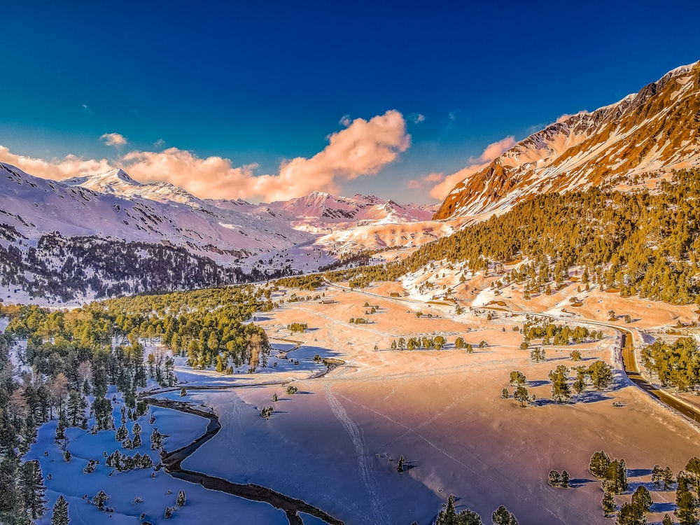 green trees near snow covered mountain during daytime