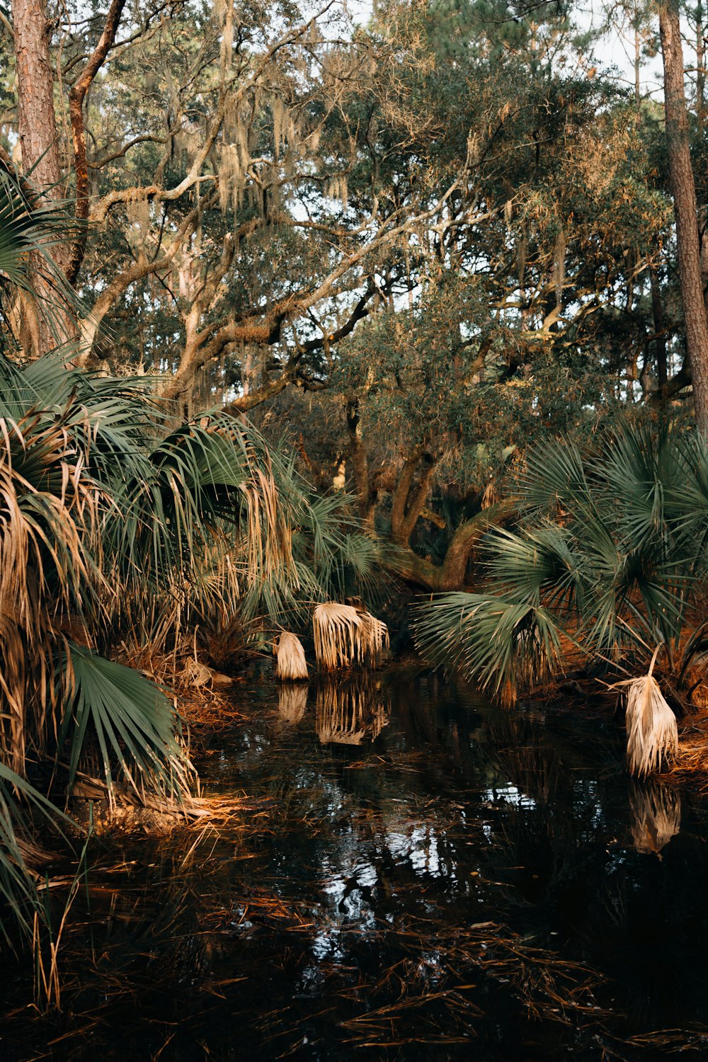 green palm tree near body of water during daytime