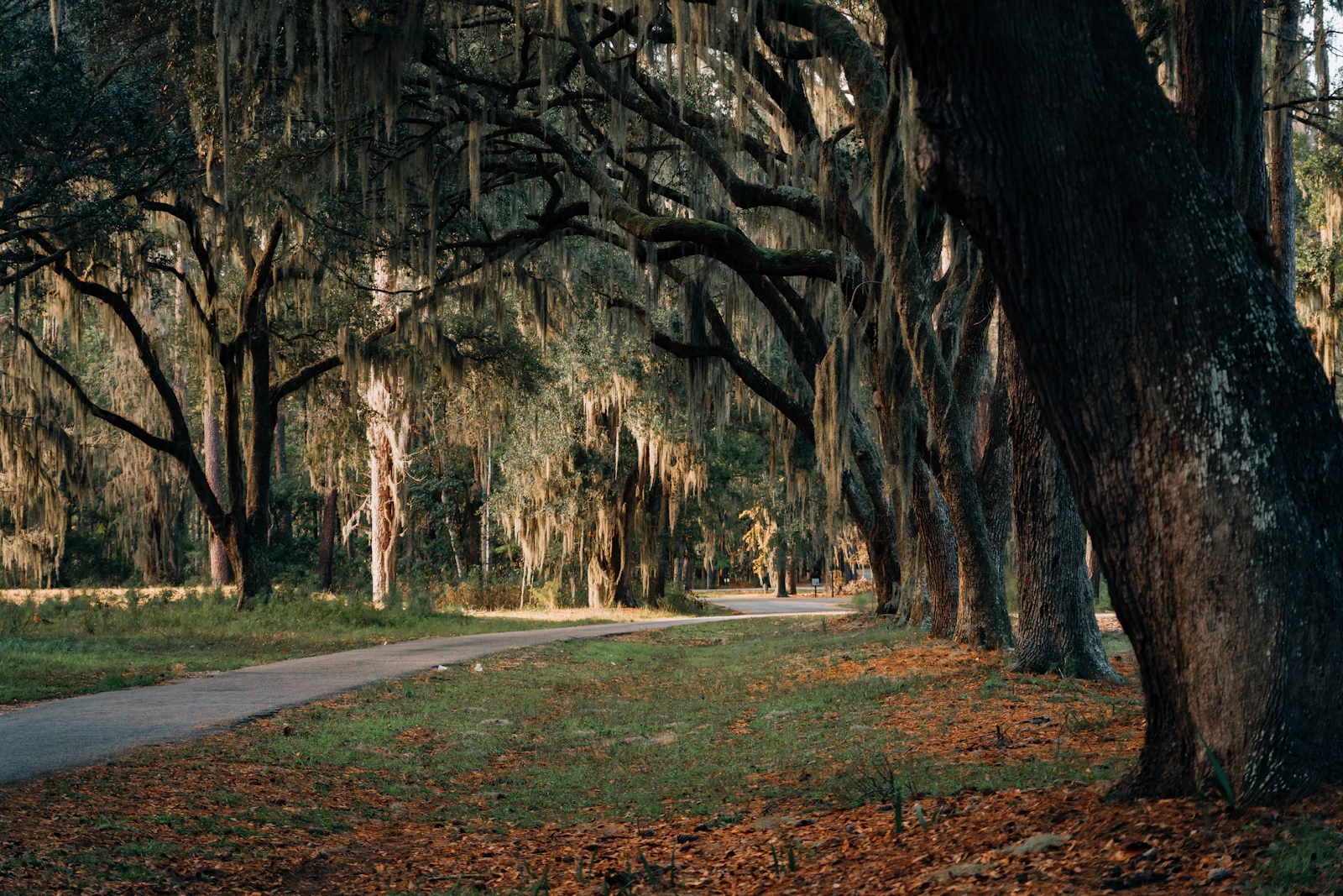 Montage Palmetto Bluff