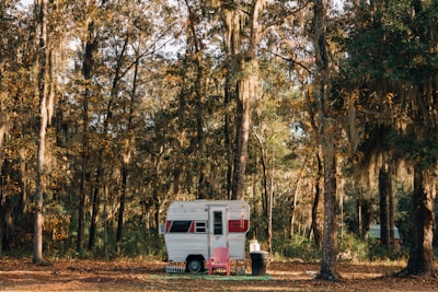 A vintage camper trailer is parked in a forest clearing, surrounded by tall trees draped with Spanish moss. A pink Adirondack chair and a black trash bin are placed in front of the trailer. The ground is covered in fallen leaves, and the atmosphere is peaceful and rustic.