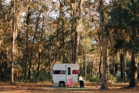 A vintage camper trailer is parked in a forest clearing, surrounded by tall trees draped with Spanish moss. A pink Adirondack chair and a black trash bin are placed in front of the trailer. The ground is covered in fallen leaves, and the atmosphere is peaceful and rustic.