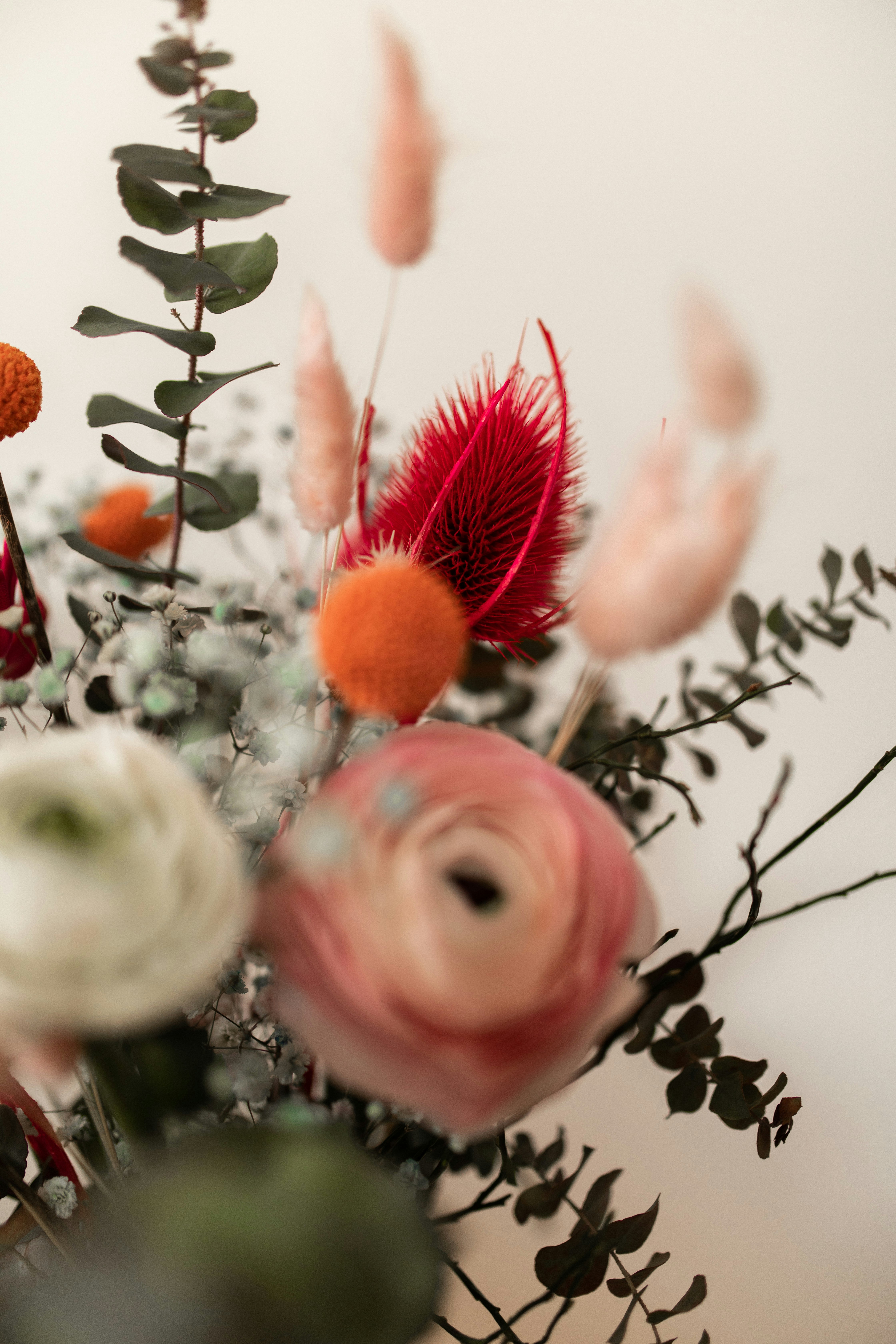 Photo by kajareichardtphotos