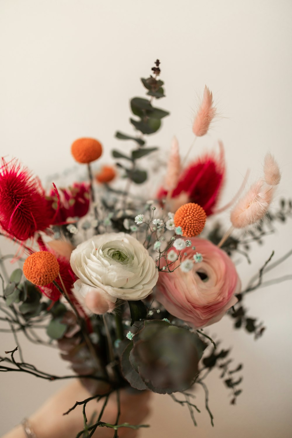 white and pink roses with white petals