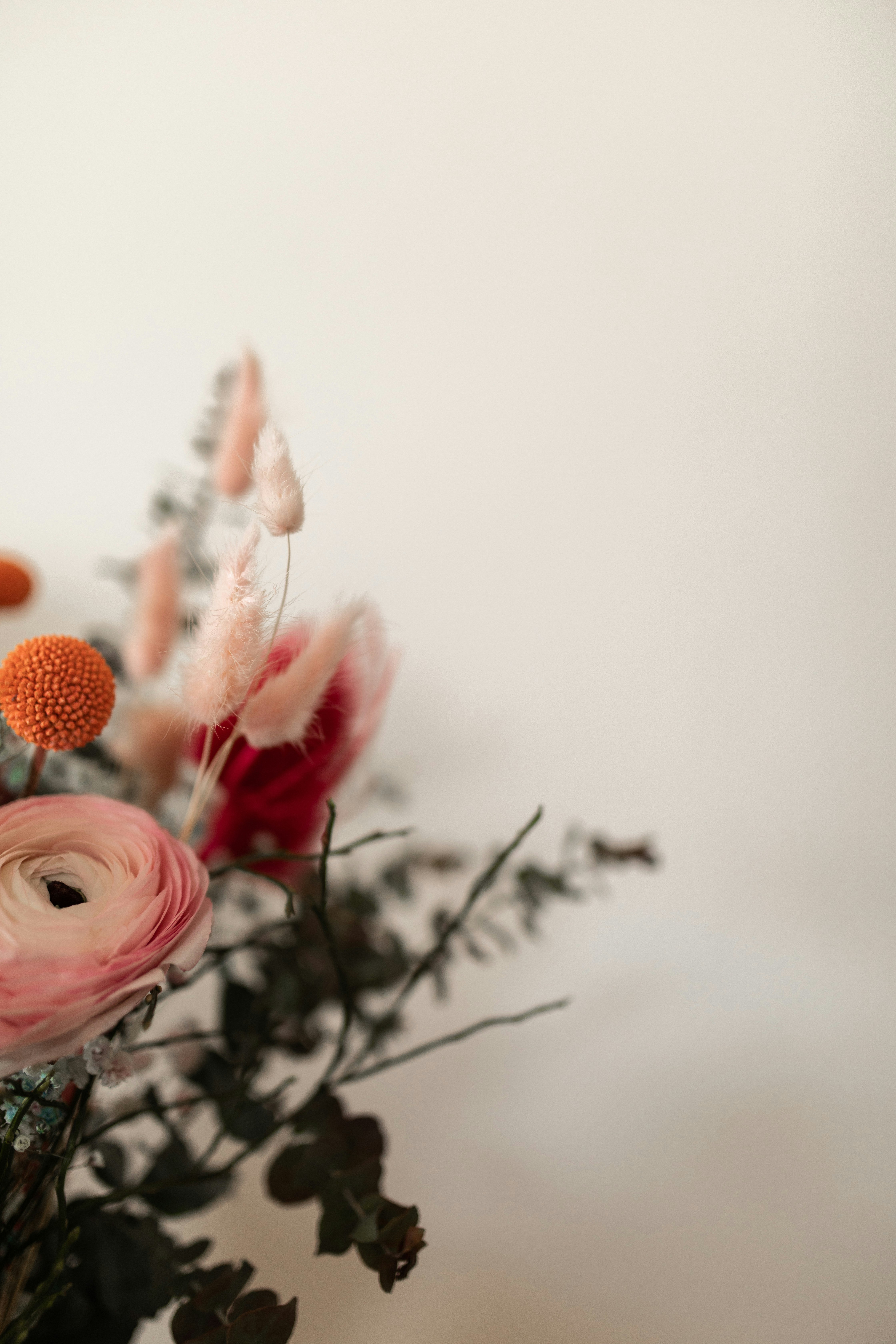 Photo by kajareichardtphotos