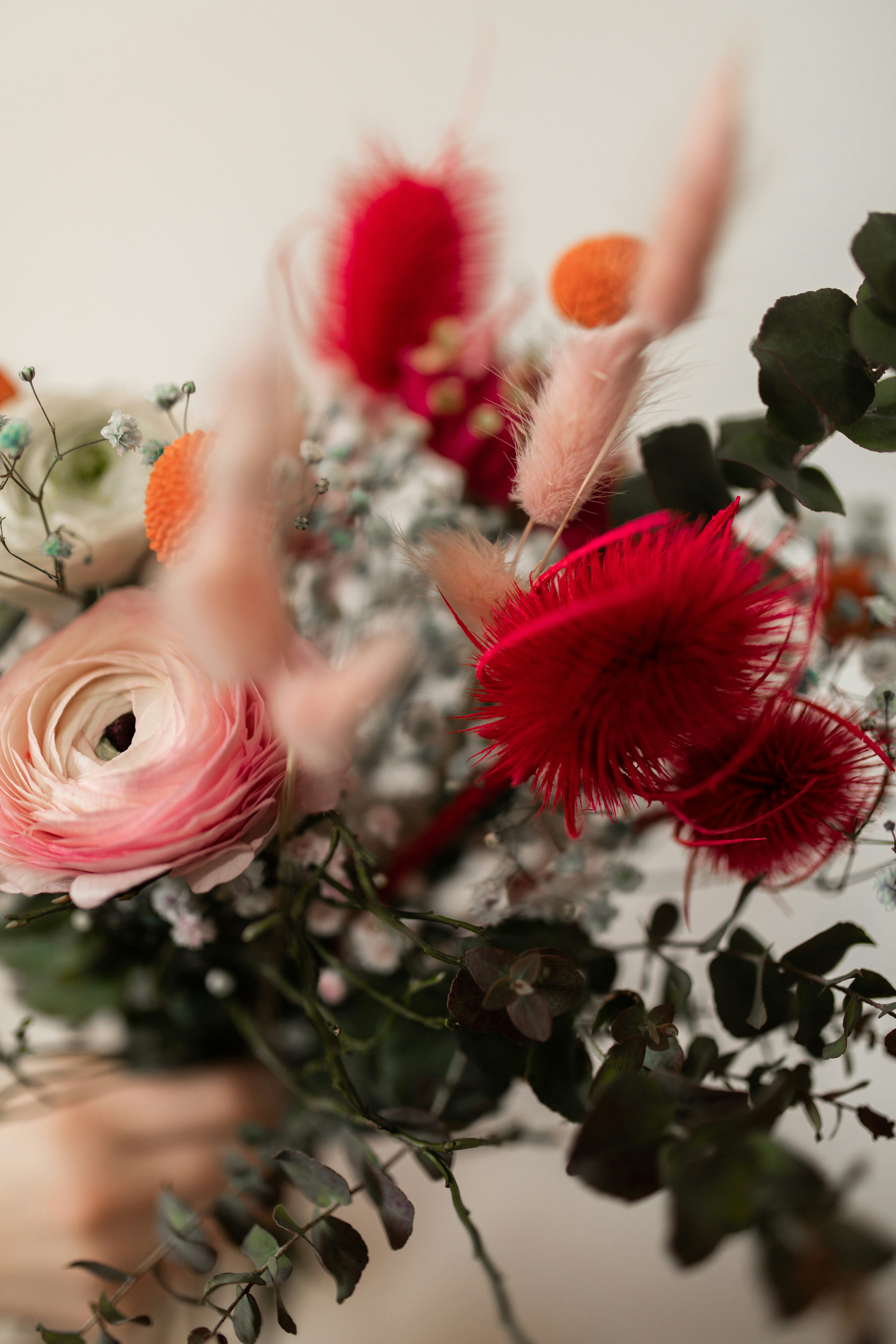 Photo by kajareichardtphotos