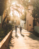 Sunlight filtering through palm trees over a peaceful coastal path in Cartagena.