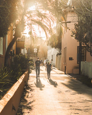 Sunlight filtering through palm trees over a peaceful coastal path in Cartagena.