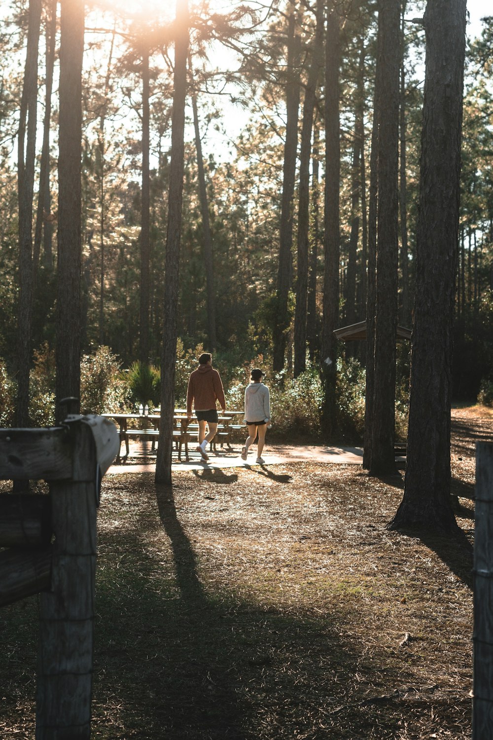 Hombre y mujer de pie en un banco de madera marrón rodeado de árboles durante el día