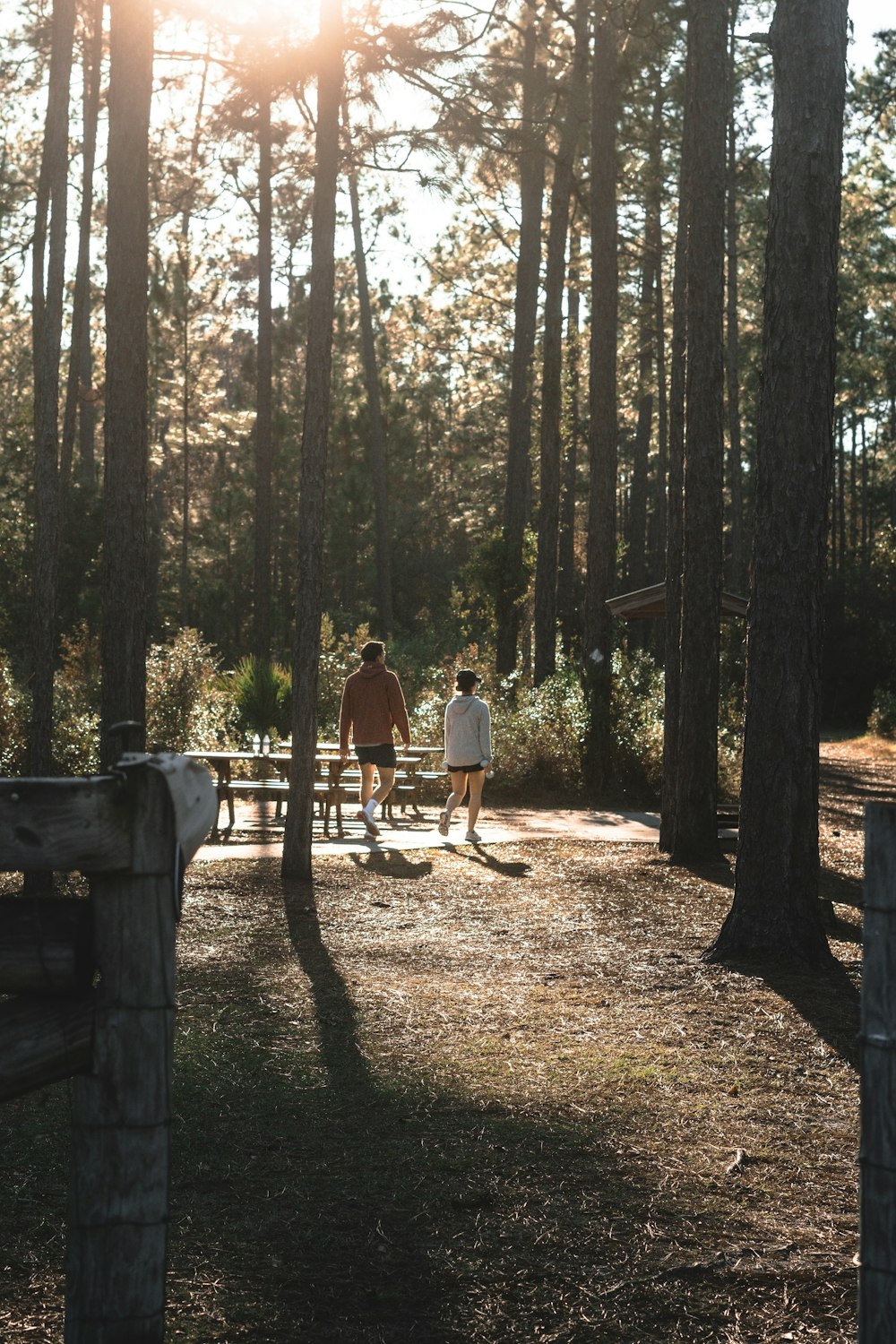 man and woman standing on brown wooden bench surrounded by trees during daytime