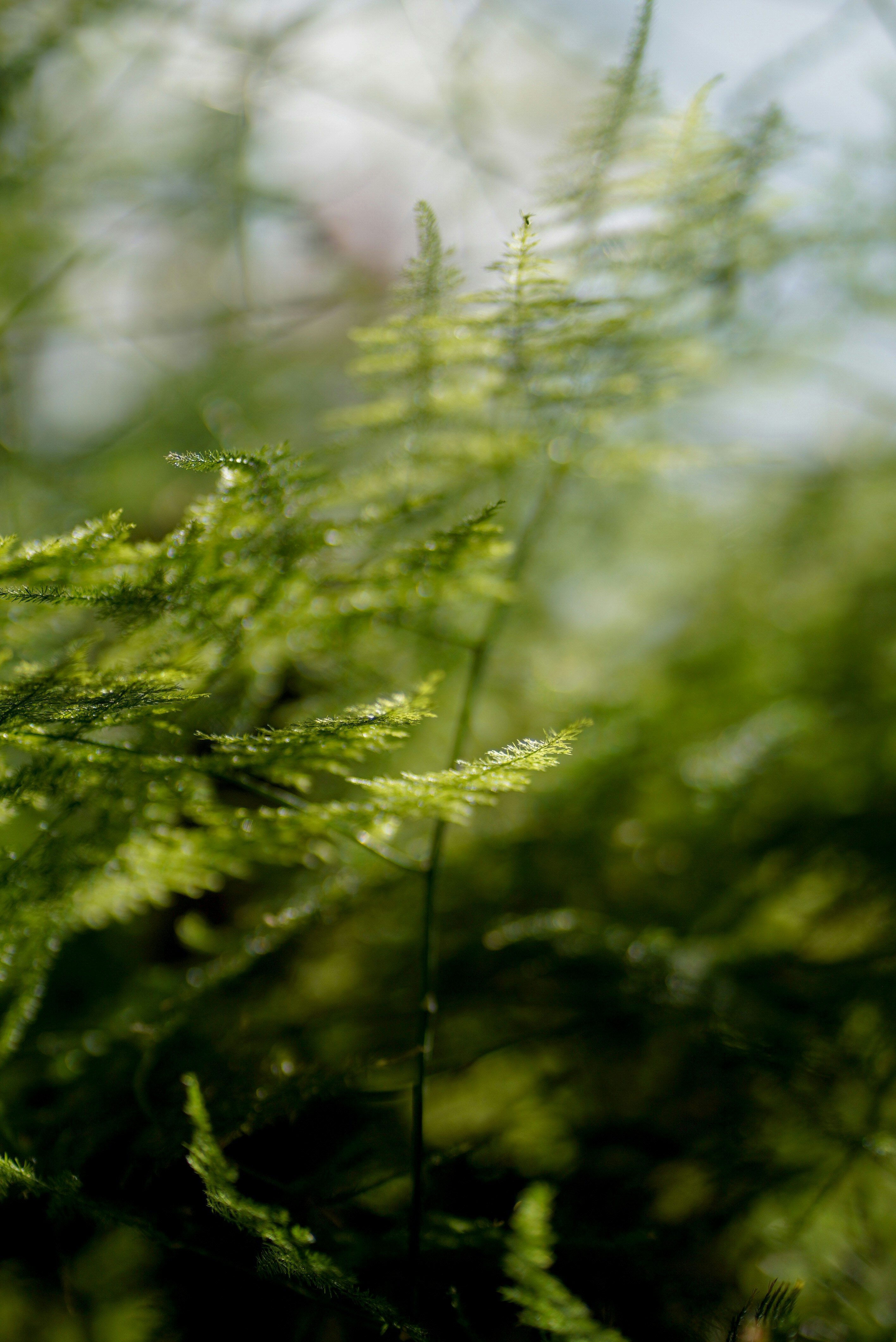 Photo by annabell_flem