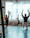 Three people are practicing yoga in a sunlit studio. They are positioned on yoga mats, performing a lunge pose with arms raised towards the ceiling. Large windows with sheer curtains allow natural light to fill the room. Potted plants are placed around the space, adding a touch of greenery to the setting.