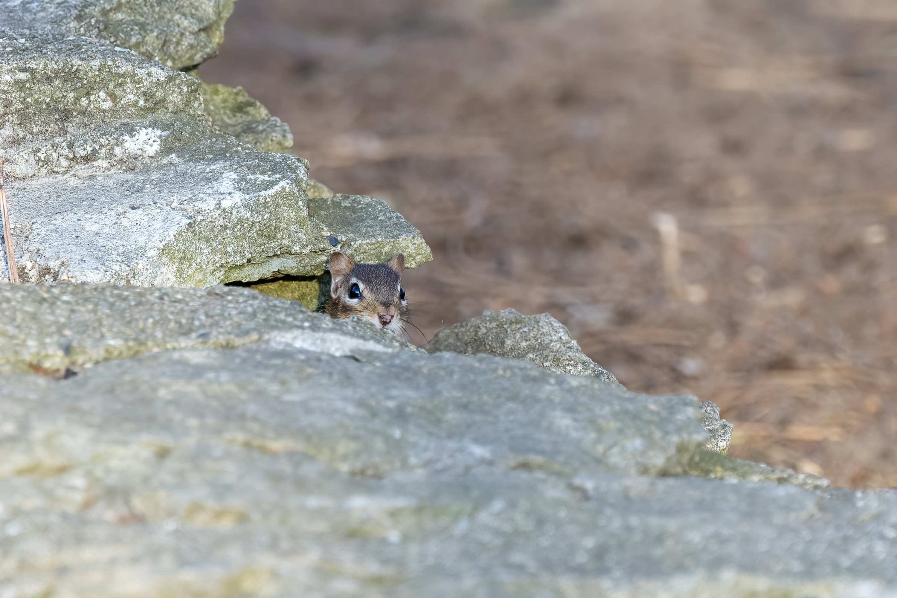 Photo by cholewinski